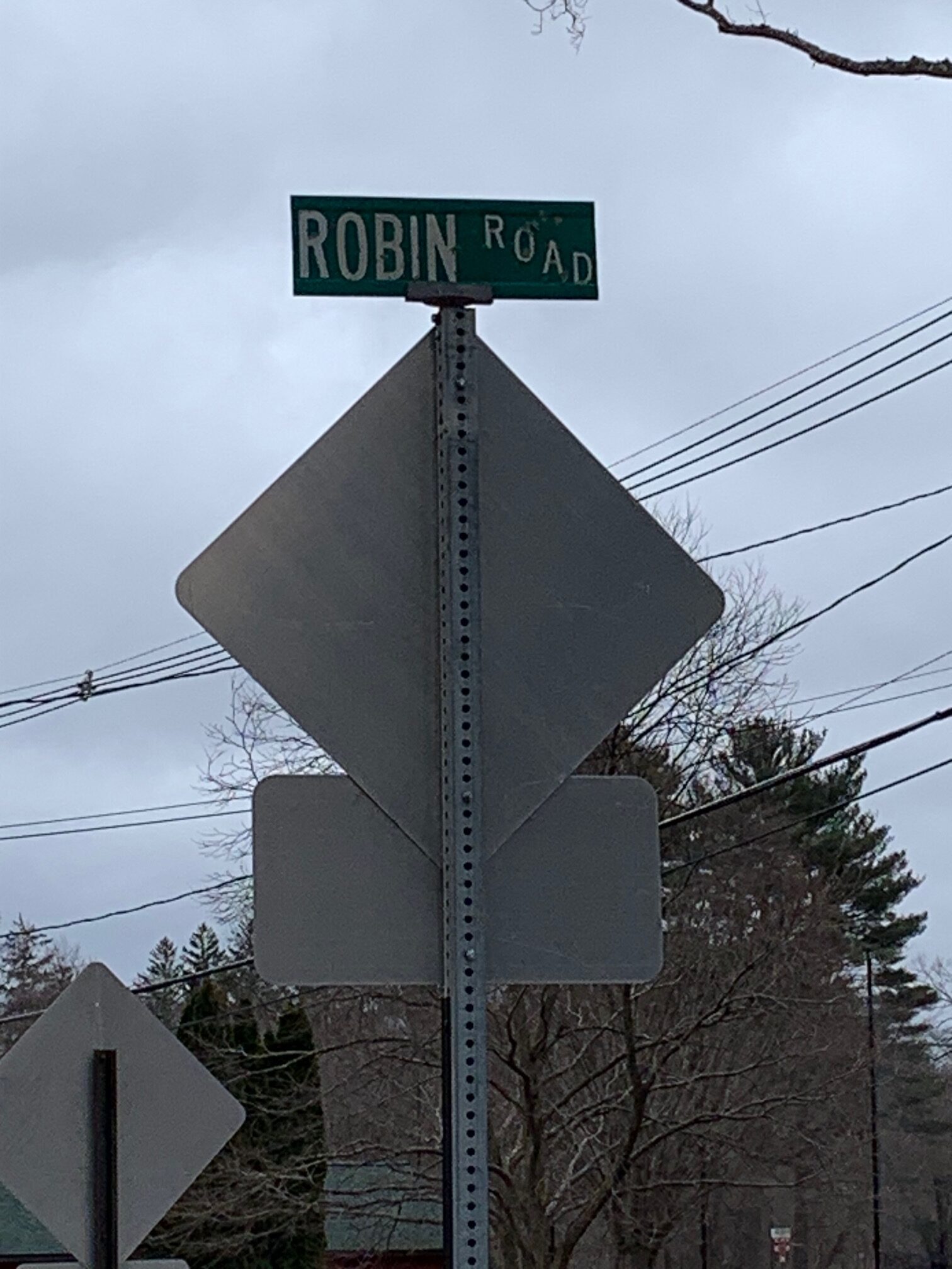 Robin Road